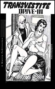 Transvestite Drive-In sexy crossdressing story
